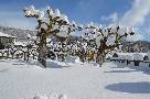 La nieve en el Valle de Sabero