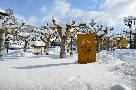 Nieve en la Plaza San Blas