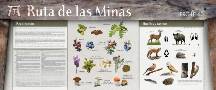 Imágenes Ruta las MInas