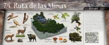 Imágenes Ruta las MInas